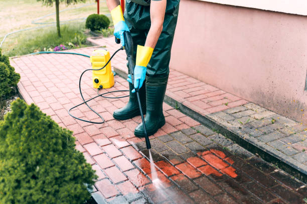 Best Building Exterior Washing  in Waynesboro, TN